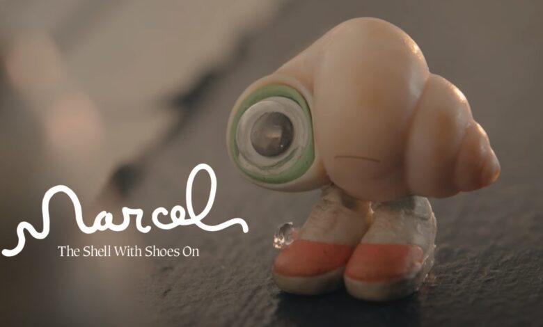 Photo of Marcel the Shell